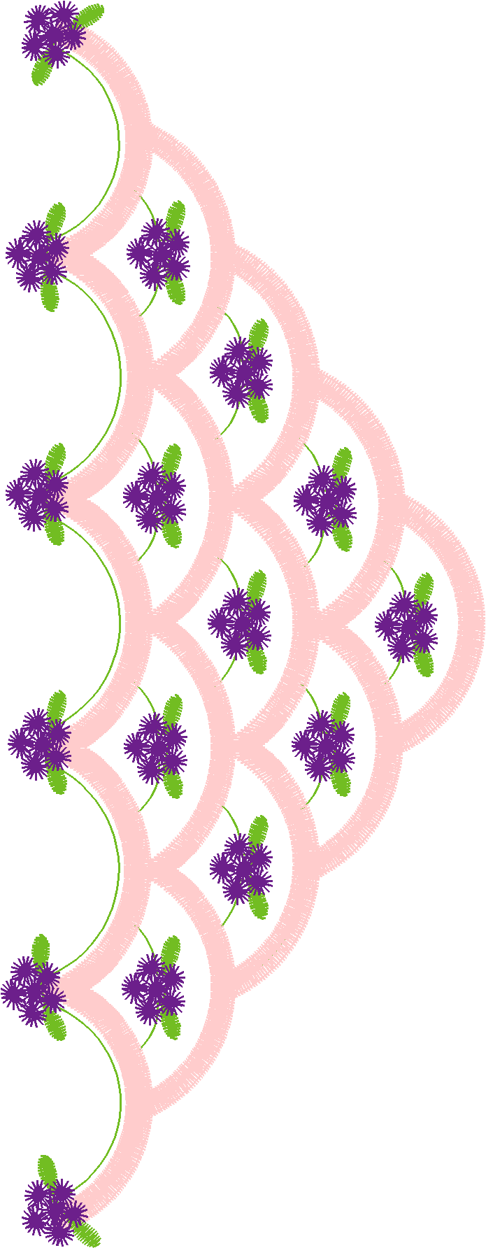 Borders 27 (79)