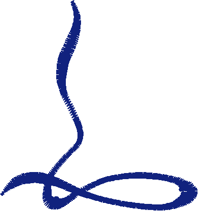 Borders 4 (18)