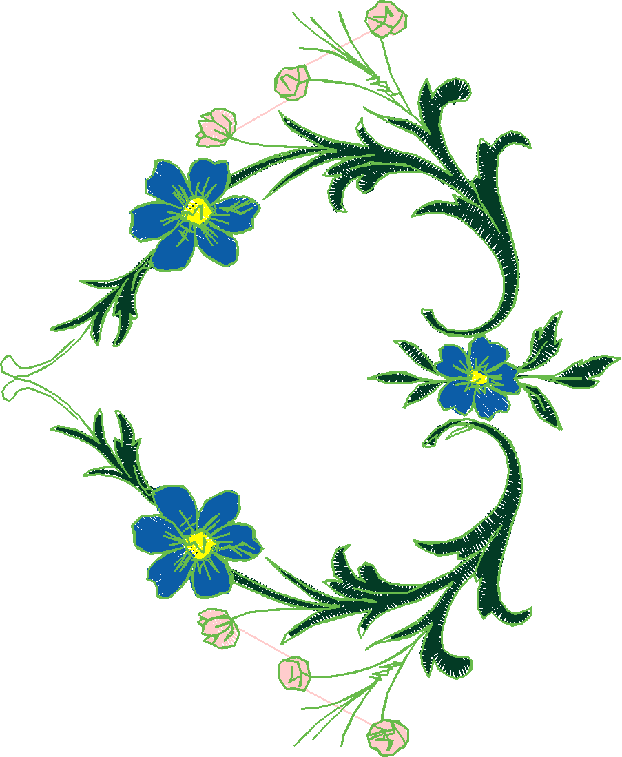 Borders 7 (30)