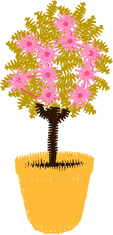 Borders 9 (25)