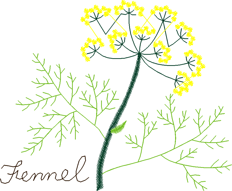 Herbe034