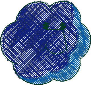 N°51
