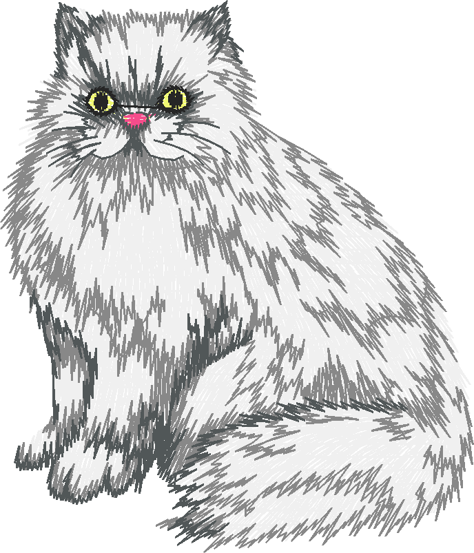 Chat15