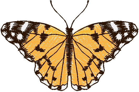 Papillon Nø47010