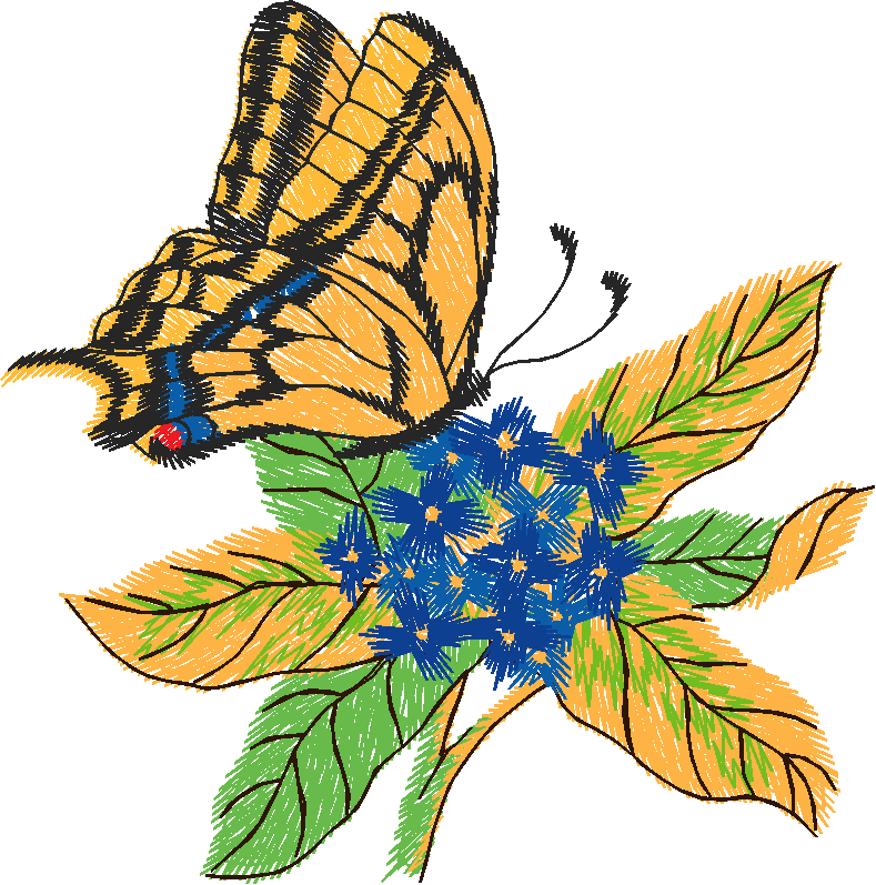 Papillon Nø47017