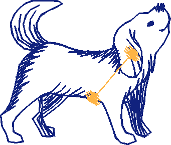 62008