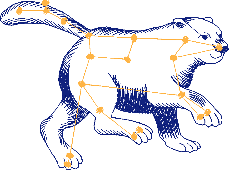 62009