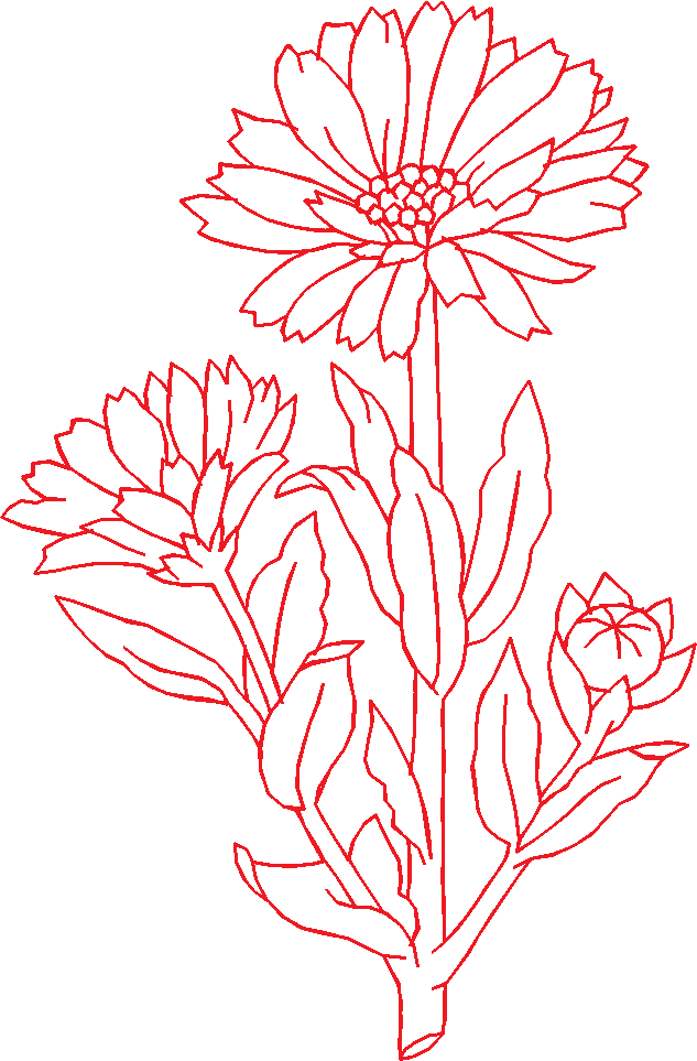 N°06