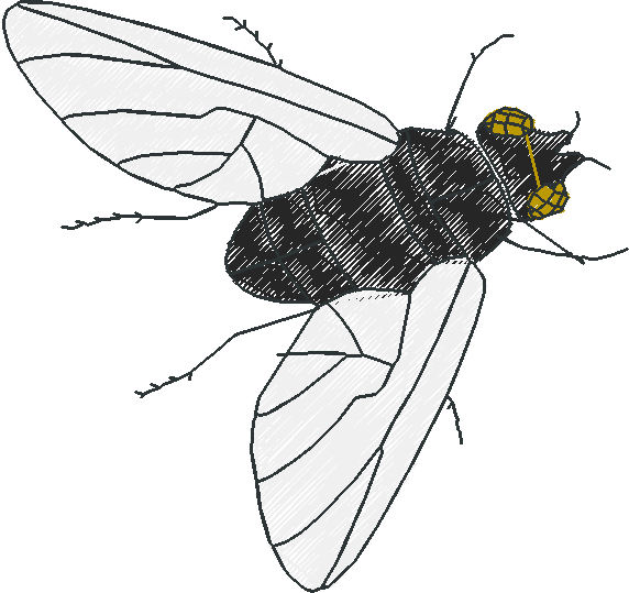 Bugs 10  (9)