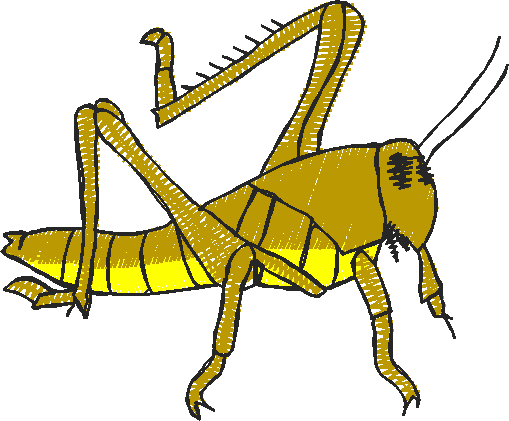 Bugs 8  (6)