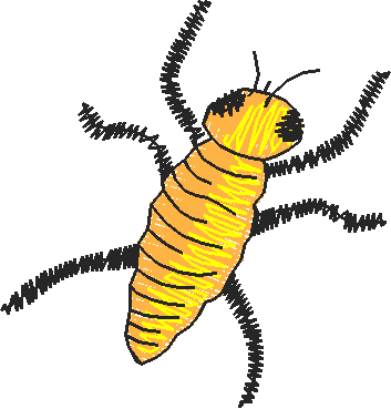 Bugs 9  (19)