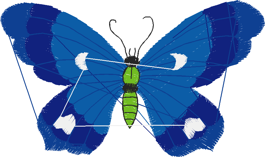 Butterflies 1  (8)