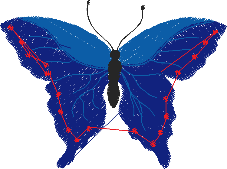 Butterflies 1  (9)