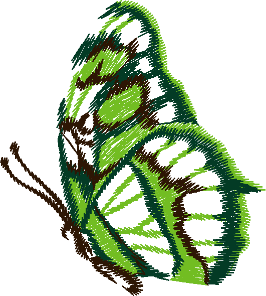 Butterflies 12  (6)