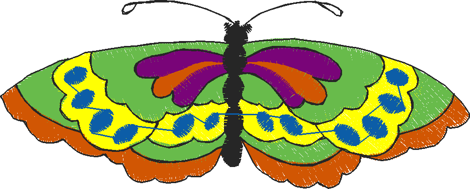Butterflies 13  (7)
