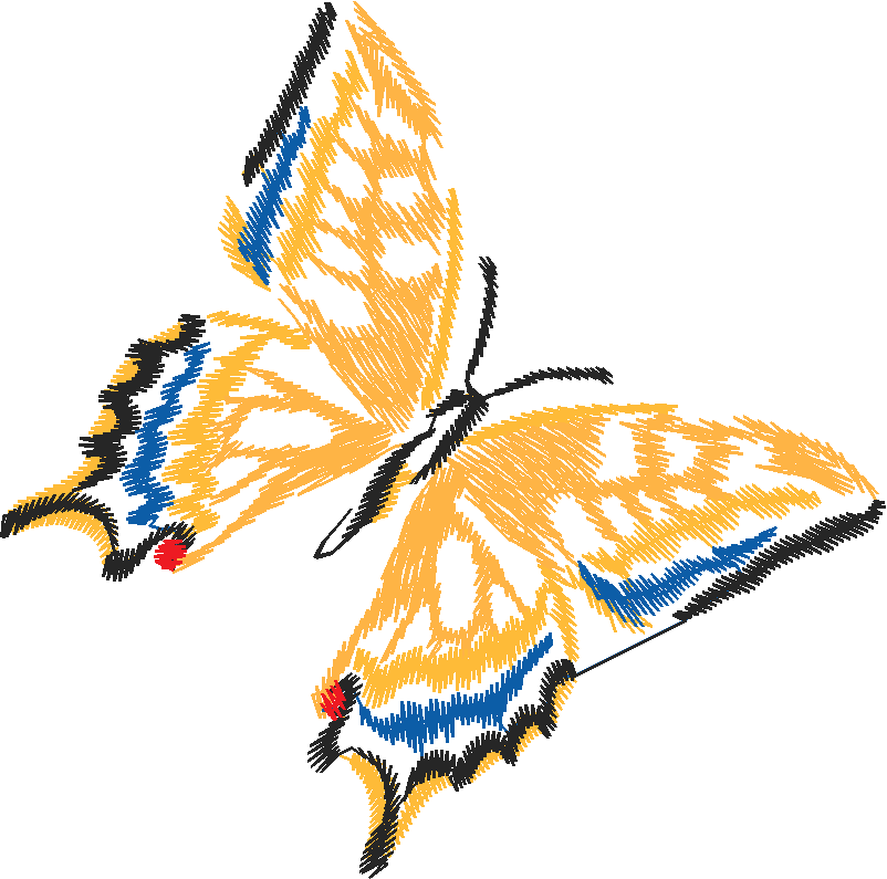 Butterflies 14  (5)