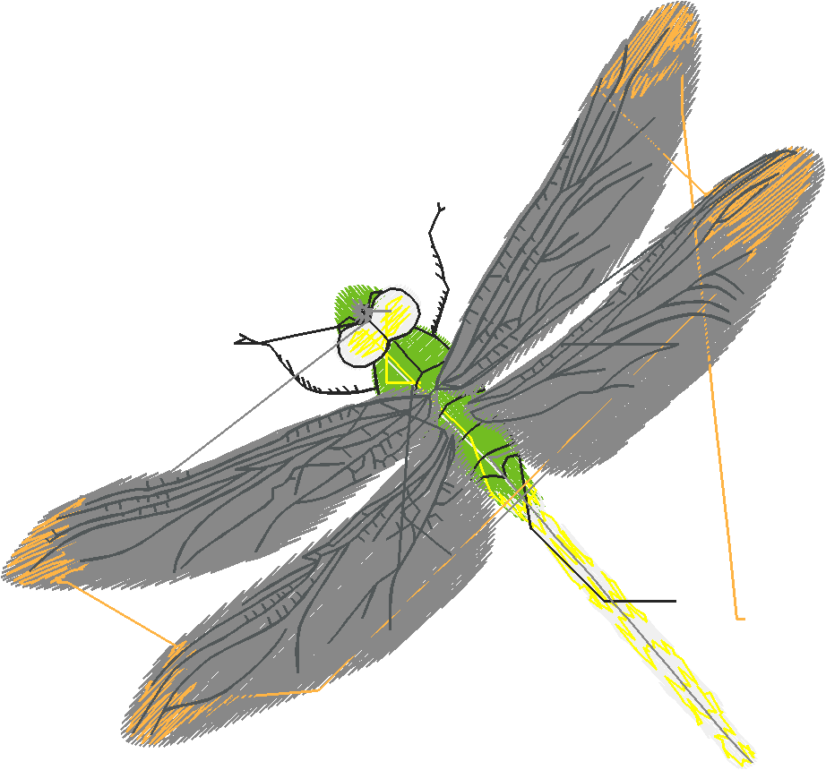 Butterflies 15  (8)