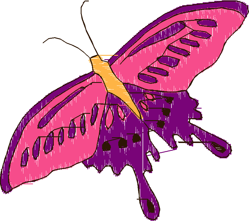Butterflies 18 (19)