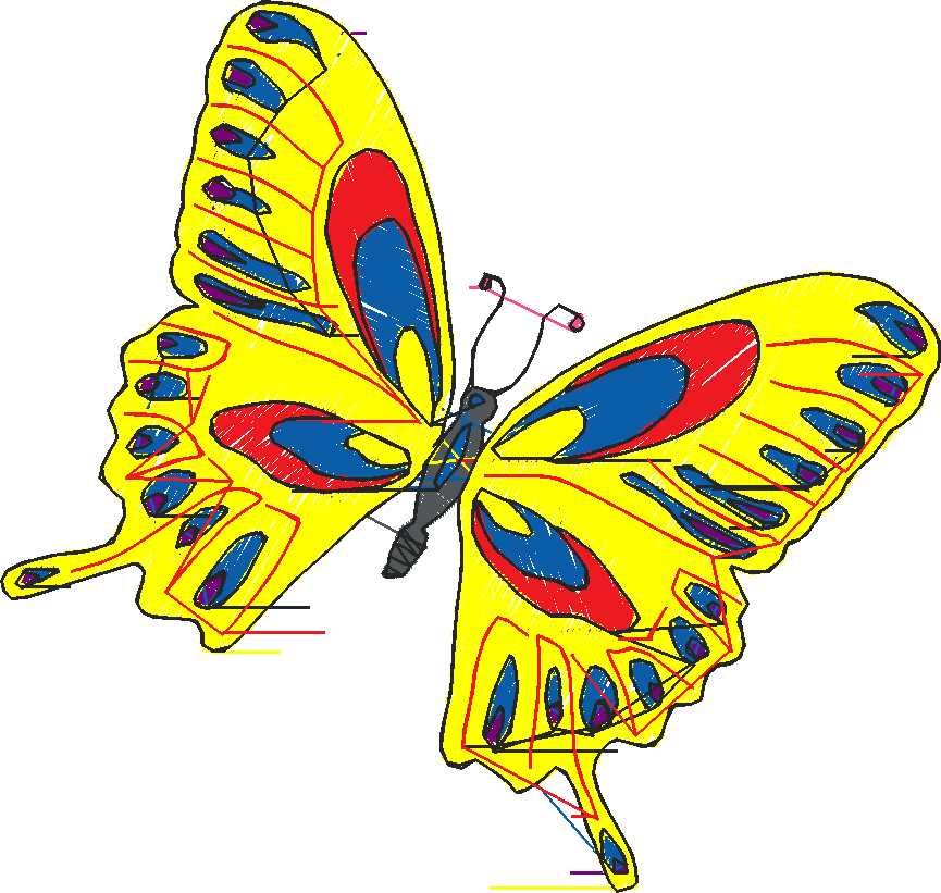 Butterflies 18 (23)