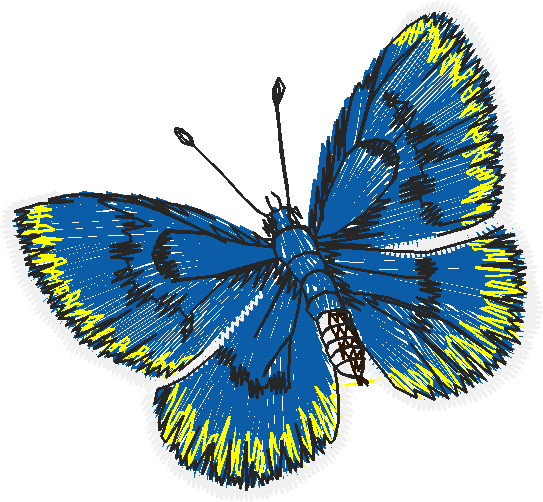Butterflies 18 (267)