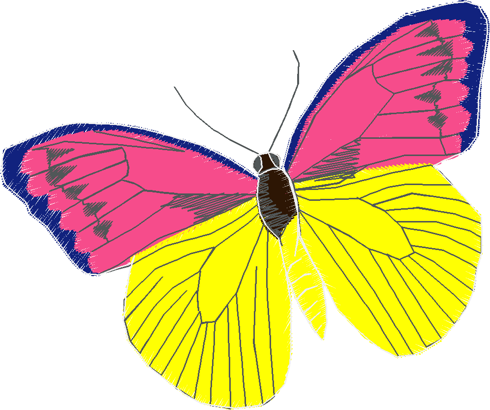 Butterflies 18 (30)