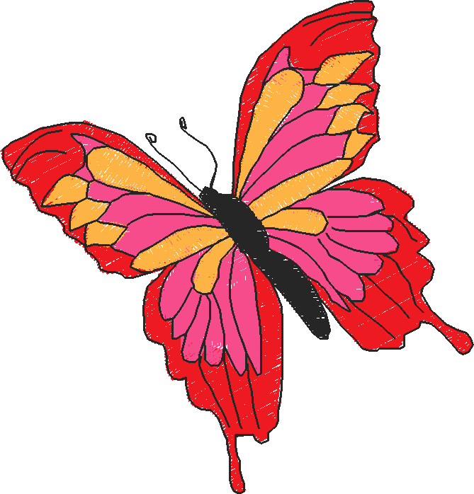 Butterflies 18 (80)
