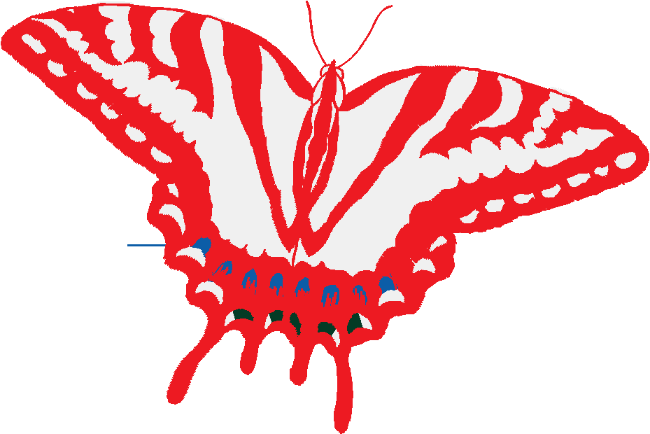 Butterflies 18 (95)