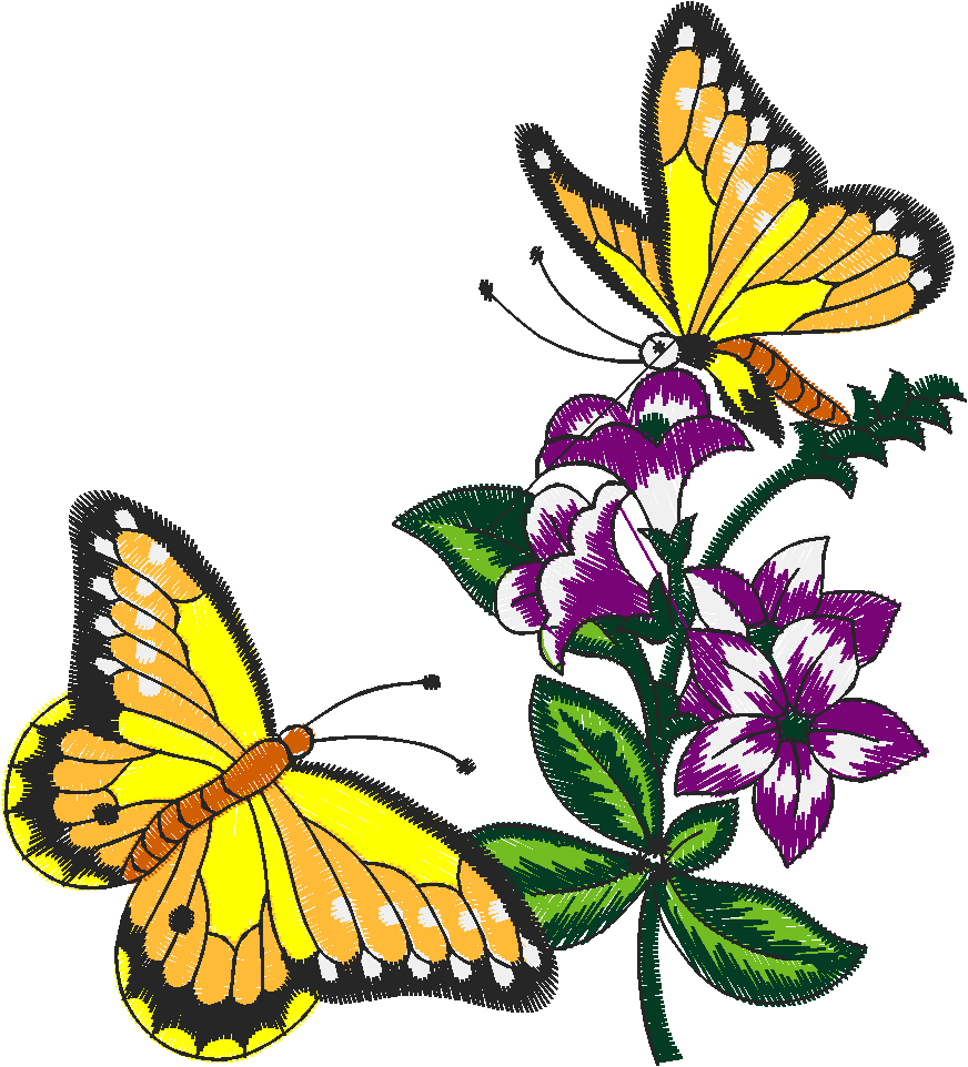 Butterflies 21  (9)