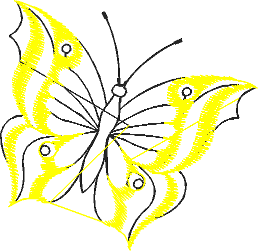 Butterflies 22 (47)