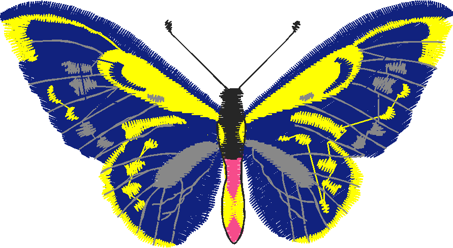 Butterflies 23 (25)