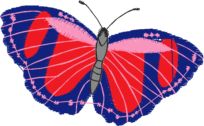 Butterflies 23 (31)