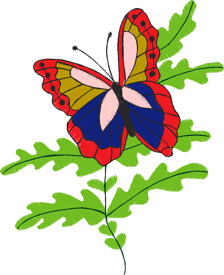Butterflies 23 (38)