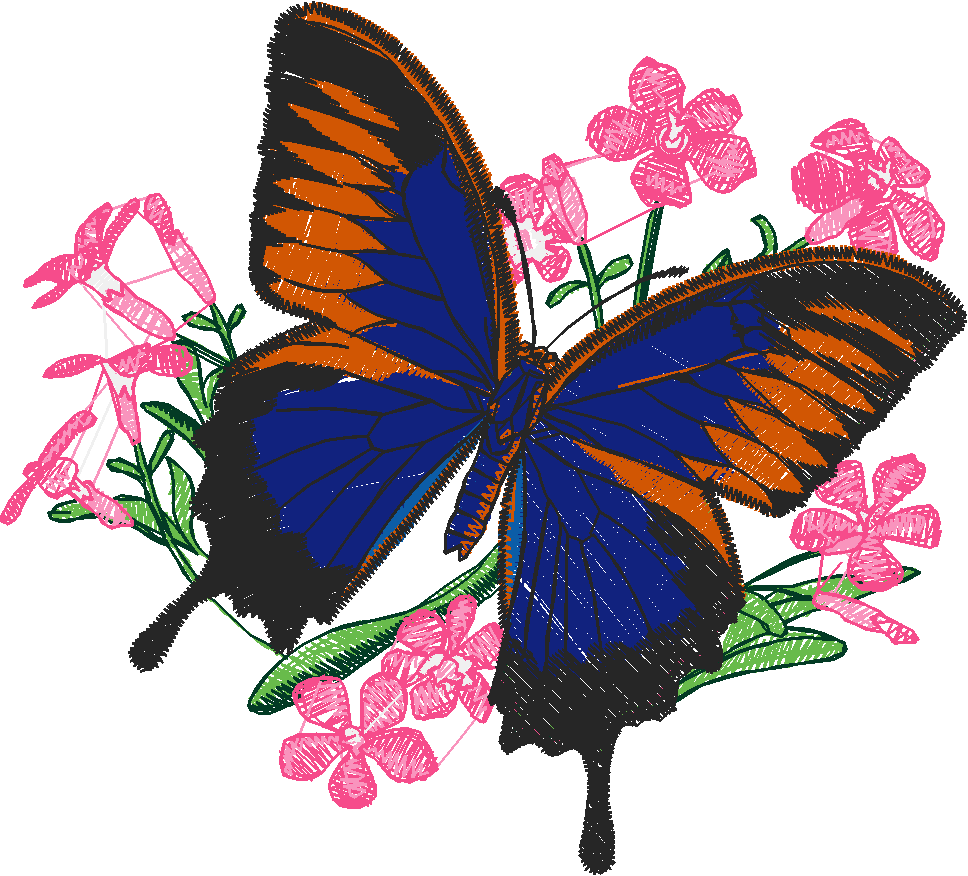 Butterflies 24 (17)