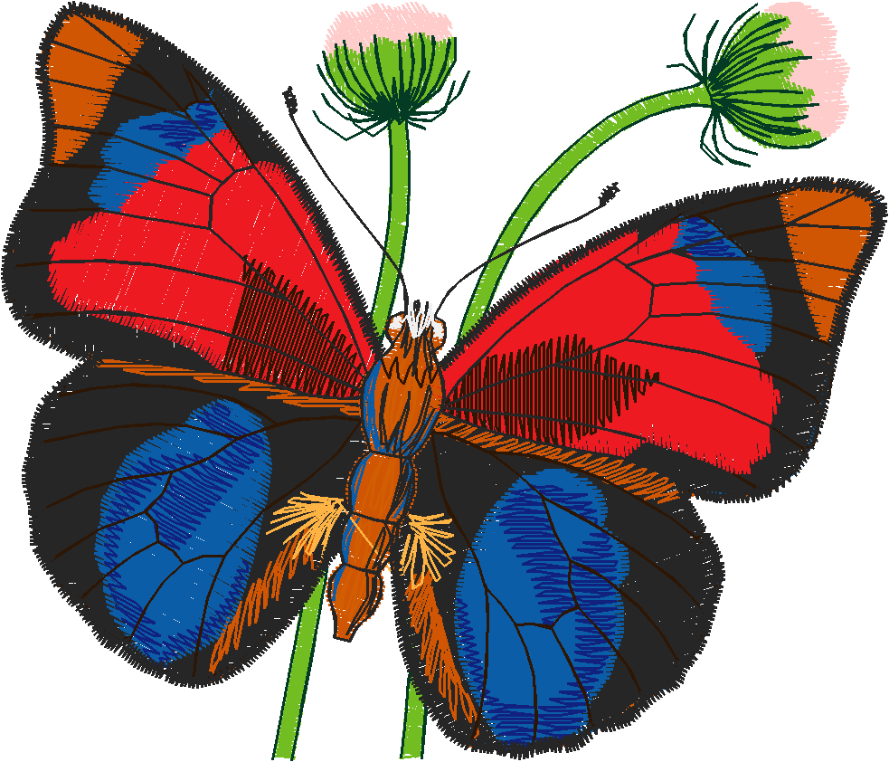Butterflies 24 (26)