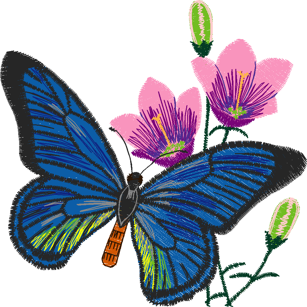 Butterflies 24 (34)
