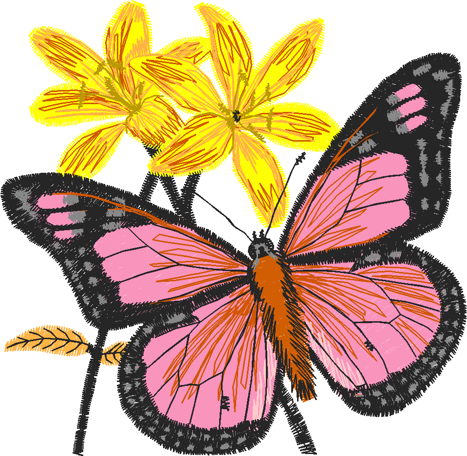 Butterflies 24 (37)