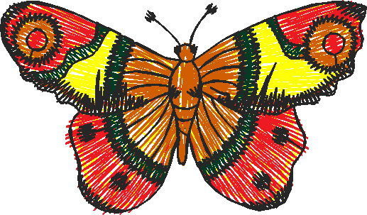 Butterflies 26 (14)