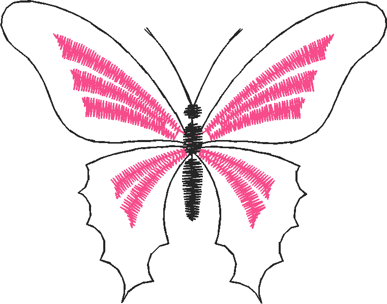 Butterflies 26 (21)