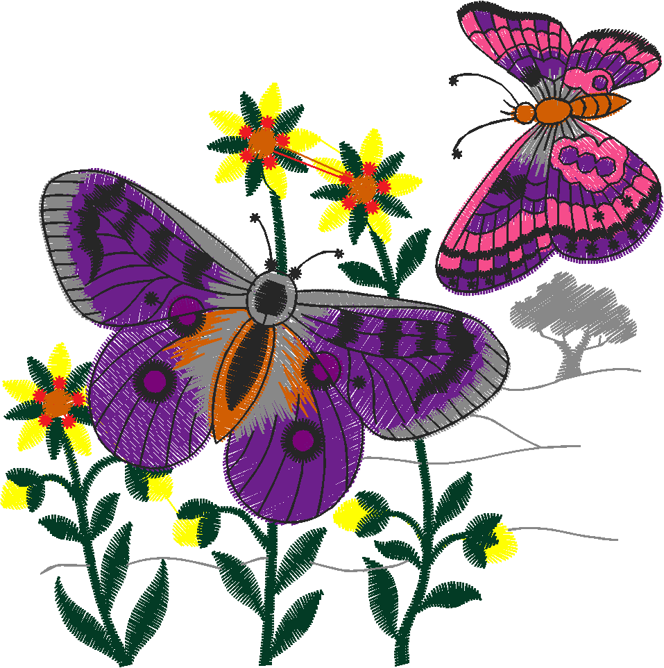 Butterflies 26 (44)