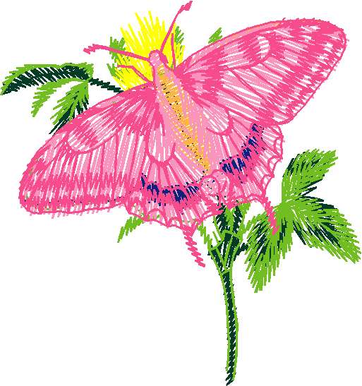 Butterflies 26 (7)