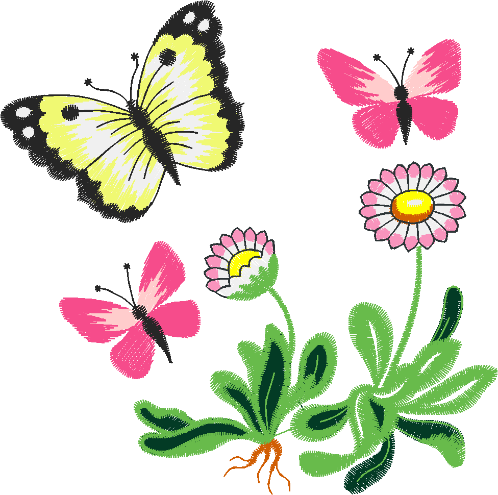 Butterflies 27 (3)