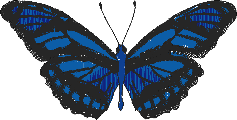 Butterflies 28 (3)