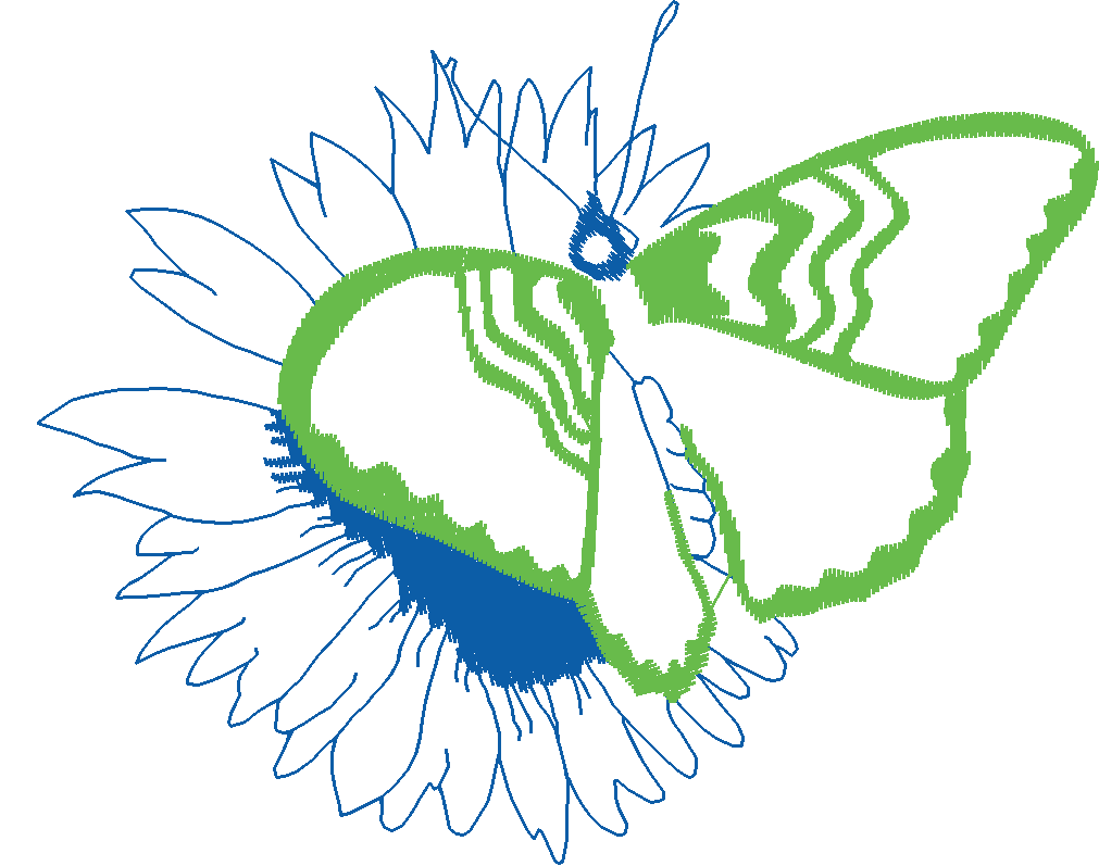 Butterflies 28 (32)