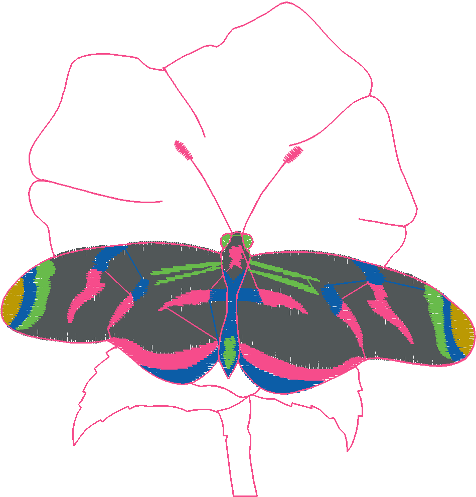 Butterflies 28 (36)