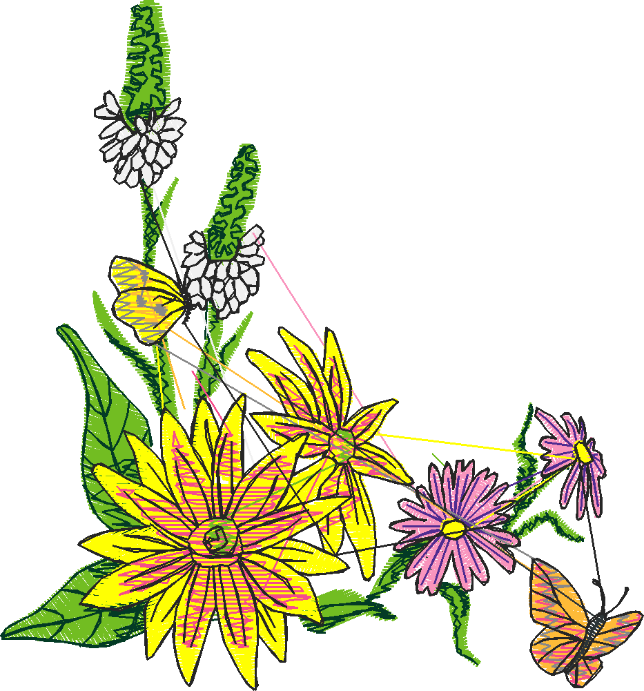 Butterflies 3  (19)