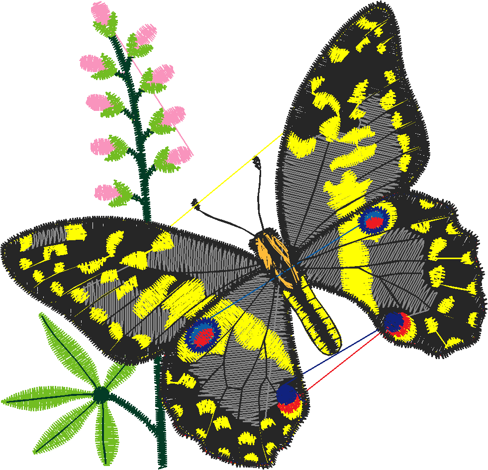 Butterflies 5  (3)