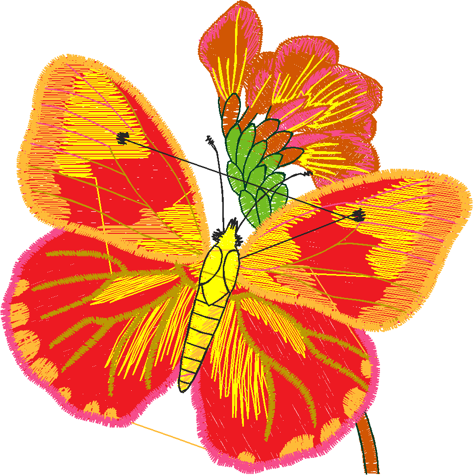 Butterflies 5  (5)