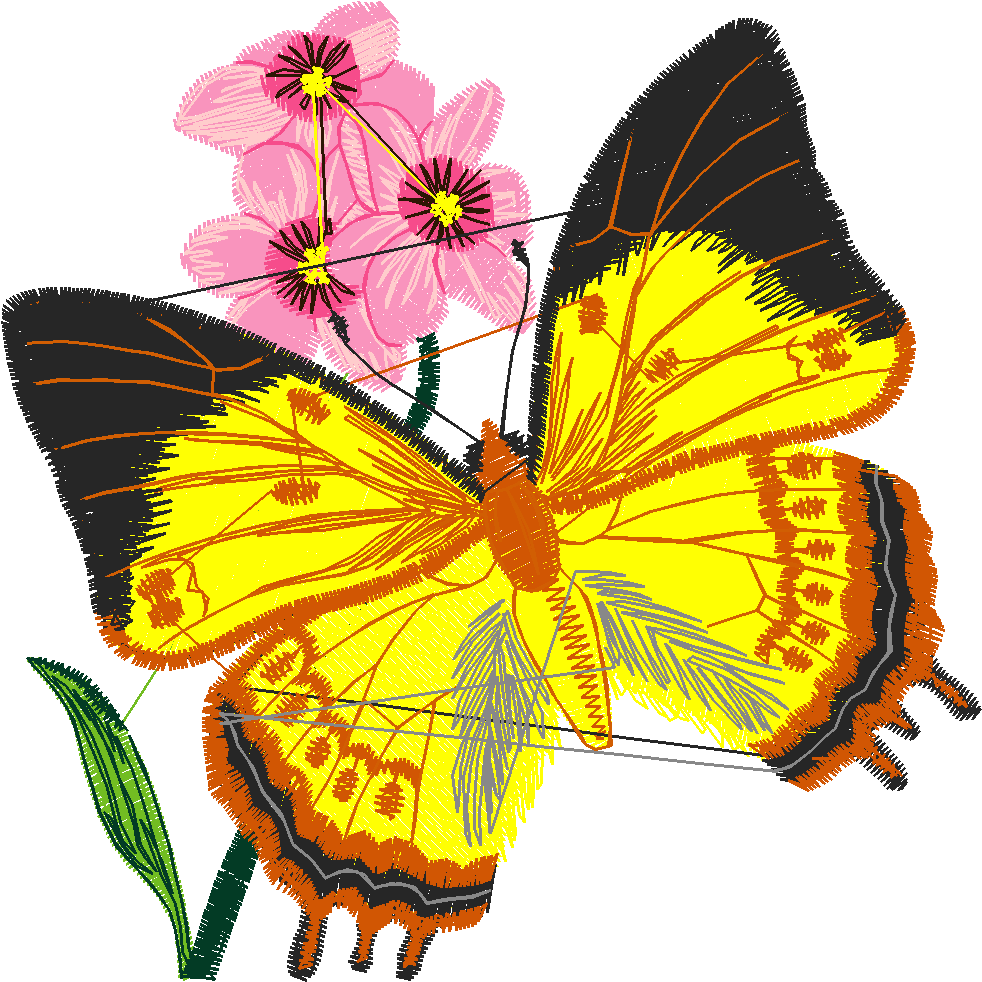 Butterflies 5  (7)