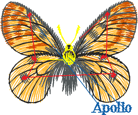 Butterflies 9  (5)