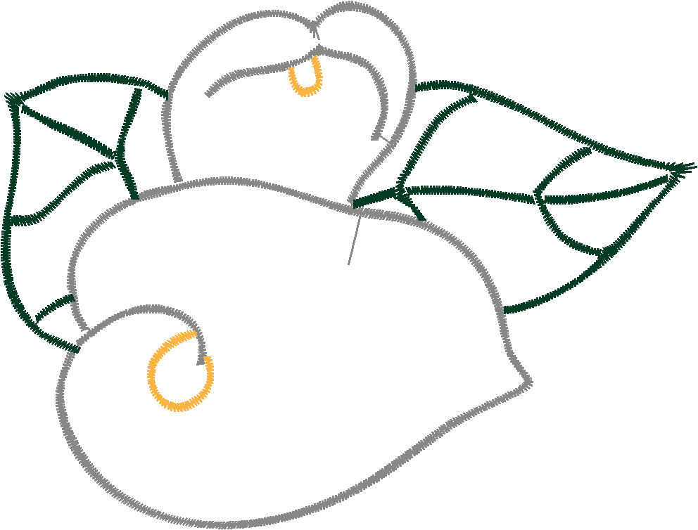 Cala Lillies 1  (3)